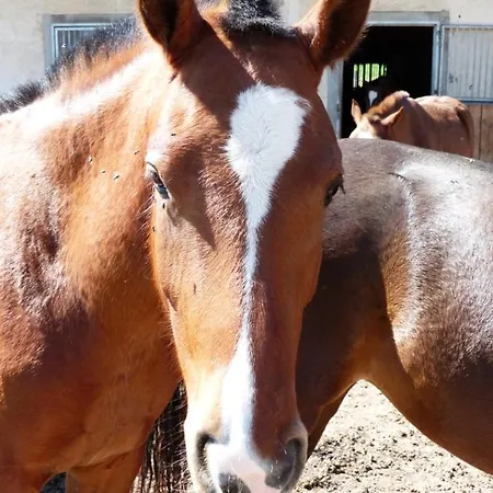 Apartamento Vent_du_nord *